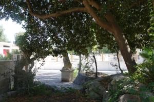 a tree with a statue in a courtyard at Giardini Sausari Residence in Punta Prosciutto