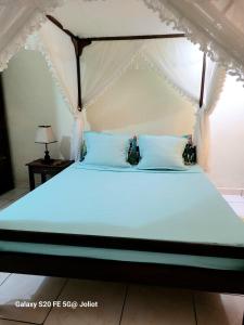 a bed with a canopy bed with blue pillows at LA MARINA 4 in Ambodifototra