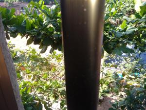 um close-up de um poste em um jardim em Hotel TK d'Or 