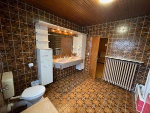Ένα μπάνιο στο Westerwälder Hof Windhagen +46 φωτογραφίες