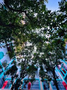 Fotografie z fotogalerie ubytování Riad Al Nour v Marrákéši