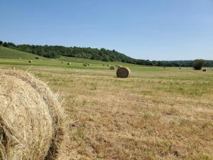 a field with bales of hay in a field at Maison du Domaine (Gîte) in Chalonnes-sur-Loire