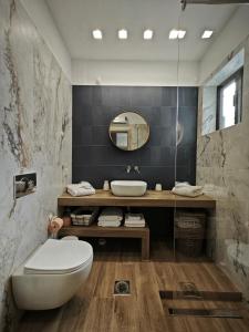 W łazience znajduje się toaleta, umywalka i lustro. w obiekcie Caravin Wanderhome w Atenach