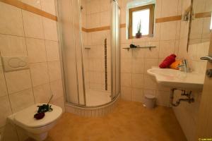 Un baño con ducha, inodoro y lavabo. en Ferienwohnung in Leogang, en Leogang