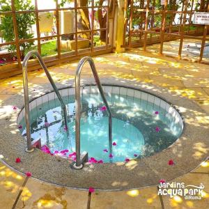een klein zwembad in het midden van een tuin bij Lacqua DiRoma III com roupa de cama in Caldas Novas