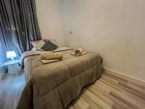 1 dormitorio con 1 cama con 2 almohadas en Apartamento Compartido a 15 minutos de la Playa en Valencia, en Valencia