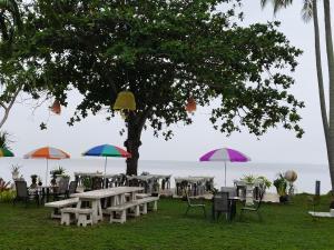 a group of tables and chairs under a tree with umbrellas at The Wynn Kohjum in Ko Jum