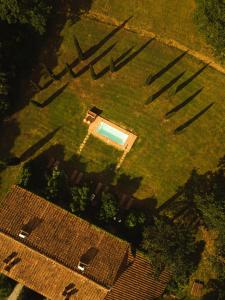 an overhead view of a yard with a swimming pool at Ginestriccio in Bibbona