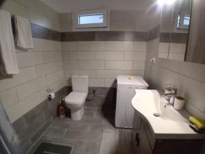 a small bathroom with a toilet and a sink at House in Amfilochia- Μονοκατοικία in Amfilochía