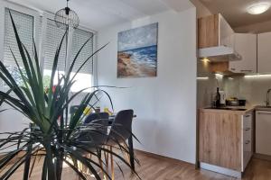 een eetkamer en een keuken met een potplant bij Apartman Liburna in Rijeka +15 foto's