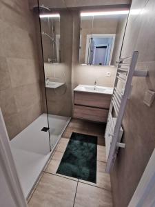 uma casa de banho com um chuveiro, um lavatório e um espelho. em Zeedijk Koksijde em Koksijde