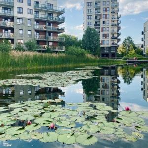 Výhľad na rieku v blízkosti apartmánu
