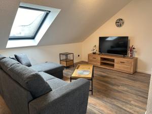 TV a/nebo společenská místnost v ubytování Ferienwohnung Zeitz - Weiße Elster Apartment