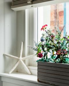 una ventana con una estrella de mar y flores en el alféizar de la ventana en Sea Sound, en Cellardyke