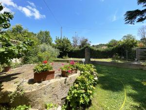 a garden with potted plants in a yard at Appartamenti Adriana di ArgonautiVacanze in Porto Azzurro