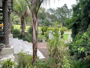 un jardín con una palmera y algunas plantas en Palm Villa, en Sunlands