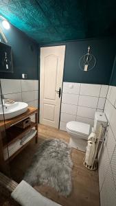 a bathroom with a white toilet and a sink at Dorna Iglu Luxury Glamping Resort in Dorna Cîndrenilor