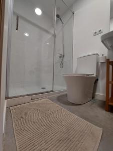 a bathroom with a shower and a toilet and a rug at Sara's apartment Barcelona in El Prat de Llobregat