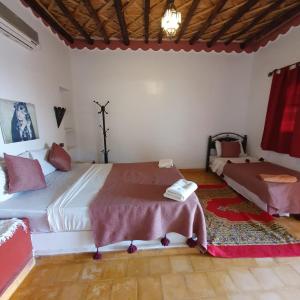 梅尔祖卡Riad Merzouga Heart的相册照片 更多4张照片