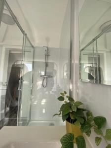 La salle de bains est pourvue d'une douche et d'une plante en pot. dans l'établissement The Santiago Suite - sleeps 10, à Southport