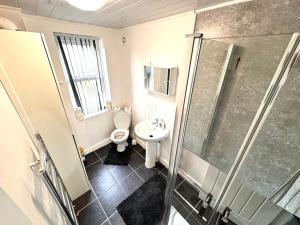 ein Bad mit einem WC, einem Waschbecken und einer Dusche in der Unterkunft Three Rose Manor At Warwick Road Near Birmingham Airport in Birmingham