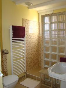 uma casa de banho com um WC e um lavatório em La Maison de Lestang em Montbeton