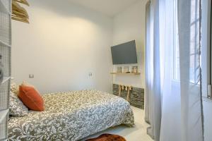 een slaapkamer met een bed en een flatscreen-tv bij Cozy Getaway in Madrid in Madrid
