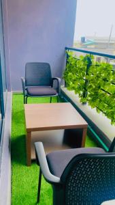 two chairs and a table in a room with green plants at David Davids in Lagos