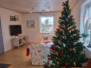 a christmas tree in a living room with a couch at Sällinge House - Cozy Villa with Fireplace and Garden close to Uppsala in Uppsala