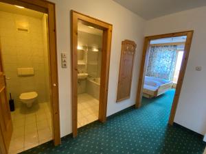 a bathroom with a toilet and a walk in shower at Meilerhof in Reith bei Seefeld