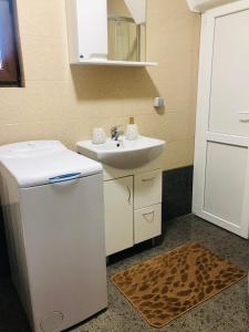 een kleine badkamer met een wastafel en een spiegel bij River House in Jaremtsje