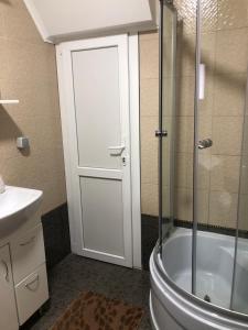 een badkamer met een douche, een toilet en een glazen deur bij River House in Jaremtsje