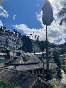 a view of a city with a palm tree at HOTEL WHITE LOTUS in Darjeeling