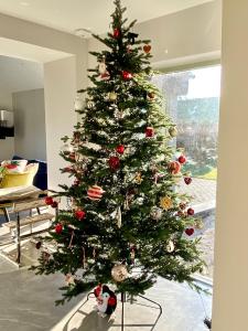Ballyheifer House - a beautiful 5 bedroom home. في ماغيرافيلت: شجرة عيد الميلاد في غرفة المعيشة مع قطة تحتها