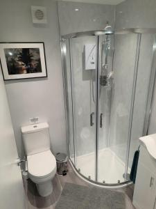 uma casa de banho com um chuveiro e um WC. em Greenfield Studio em Cardiff