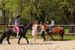 a group of children riding horses in a pen at Camping de Meibeek in Ruurlo
