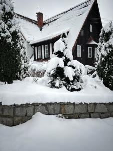 a snow covered tree in front of a house at Hotel Krasnoludki in Sosnówka +57 photos