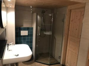 a bathroom with a shower and a sink and a toilet at Casa Vanellus / Vignogn / Val Lumnezia / near Laax in Vigens