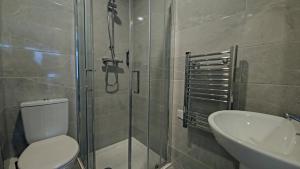 W łazience znajduje się prysznic, toaleta i umywalka. w obiekcie Madison House w Galway