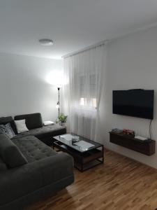 TV a/nebo společenská místnost v ubytování Apartman 022