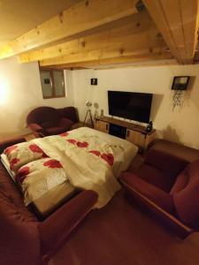 een woonkamer met een bed en een televisie bij Agréable maison 8 personnes WIFI et clim in Marmeaux