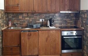 een keuken met houten kasten, een wastafel en een fornuis bij Pet Friendly Home In Korenica With Kitchen in Korenica