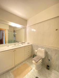 a bathroom with a toilet and a sink and a mirror at Villa Nano Καλάβρυτα βίλα στο βουνό με τζάκι in Kalavrita