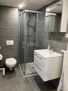 a bathroom with a shower and a toilet and a sink at Borsch urlaub Ferienwohnungen in Geisa