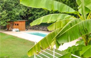 una piscina en un patio con una casa pequeña en Nice Home In Giove With Private Swimming Pool, Can Be Inside Or Outside, en Giove