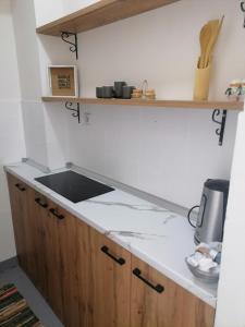 Η κουζίνα ή μικρή κουζίνα στο Skopjanka Cozy Apartment +6 φωτογραφίες