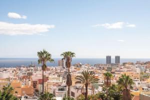Blick auf eine Stadt mit Palmen in der Unterkunft Luxury piso Nijota NEW in Santa Cruz de Tenerife