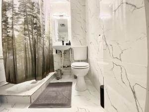 a white bathroom with a toilet and a sink at Apartament - Voineasa -Aproape de Domeniul Schiabil in Voineasa +17 photos