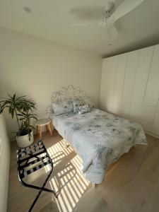 1 dormitorio con 1 cama y una maceta en Plateau Of The Seas, en Collaroy