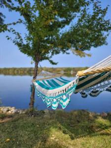 a hammock with a tree and water in the background at Spot Caché - Waterfront - Water sports included! in Papineauville
